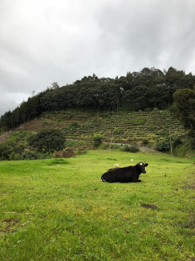 Premium Holiday Cabin - Spectacular Tungurahua Volcano View Baños Εξωτερικό φωτογραφία