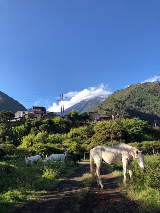 Premium Holiday Cabin - Spectacular Tungurahua Volcano View Baños Εξωτερικό φωτογραφία